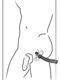 Anal-Vibrator 