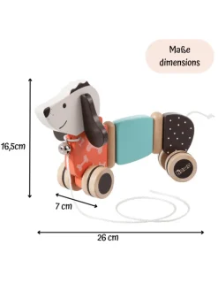 Baby Spielzeug Nachziehtier Ziehtier Hund 