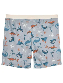 Badeshorts "Dino" in Grau/ Bunt