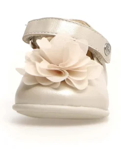 Ballerinas 