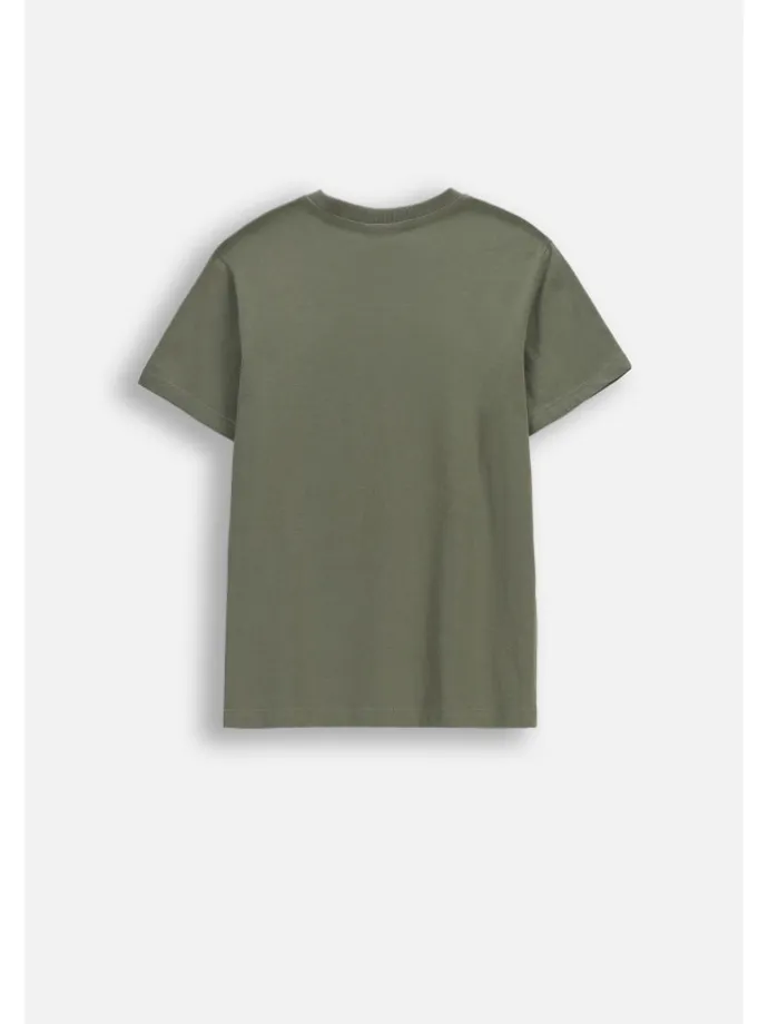 Baumwoll-T-Shirt mit kurzen Ärmeln in grün