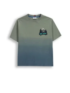Baumwoll-T-Shirt mit kurzen Ärmeln in grün