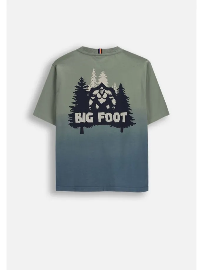 Baumwoll-T-Shirt mit kurzen Ärmeln in grün