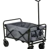 Bollerwagen in Grau