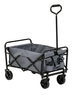 Bollerwagen in Grau