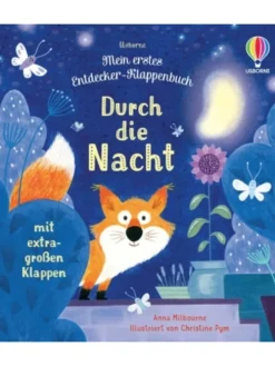Buch - Mein erstes Entdecker-Klappenbuch: Durch die Nacht