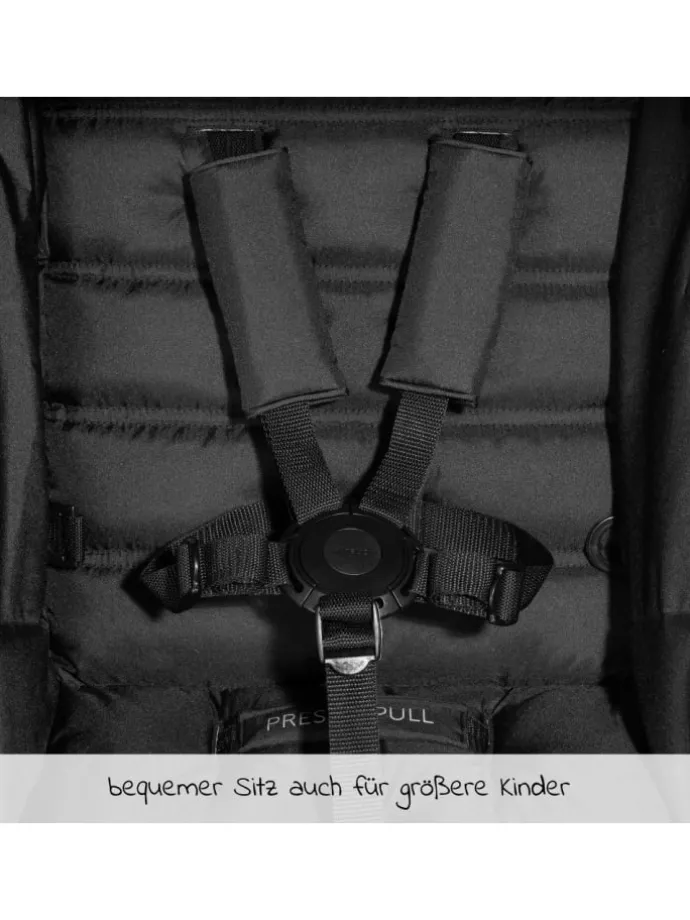 Buggy & Sportwagen Rapid 4 (bis 25 kg) - in schwarz,blau