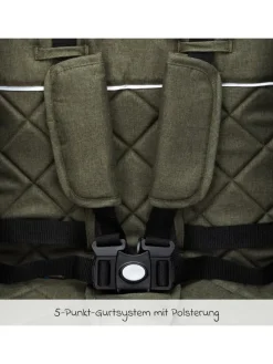 Buggy & Sportwagen Styler Elite bis 22 kg in gruen,schwarz