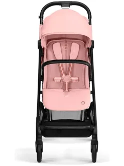 Buggy