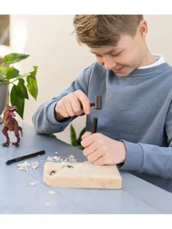 Das große Dino-Erlebnisset 