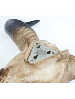 Deko Schädel T454 Stier