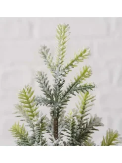 Dekobaum 