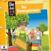 Die drei !!! 78: Das Bienengeheimnis