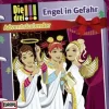 Die drei !!!. Adventskalender - Engel in Gefahr (drei Ausrufezeichen)