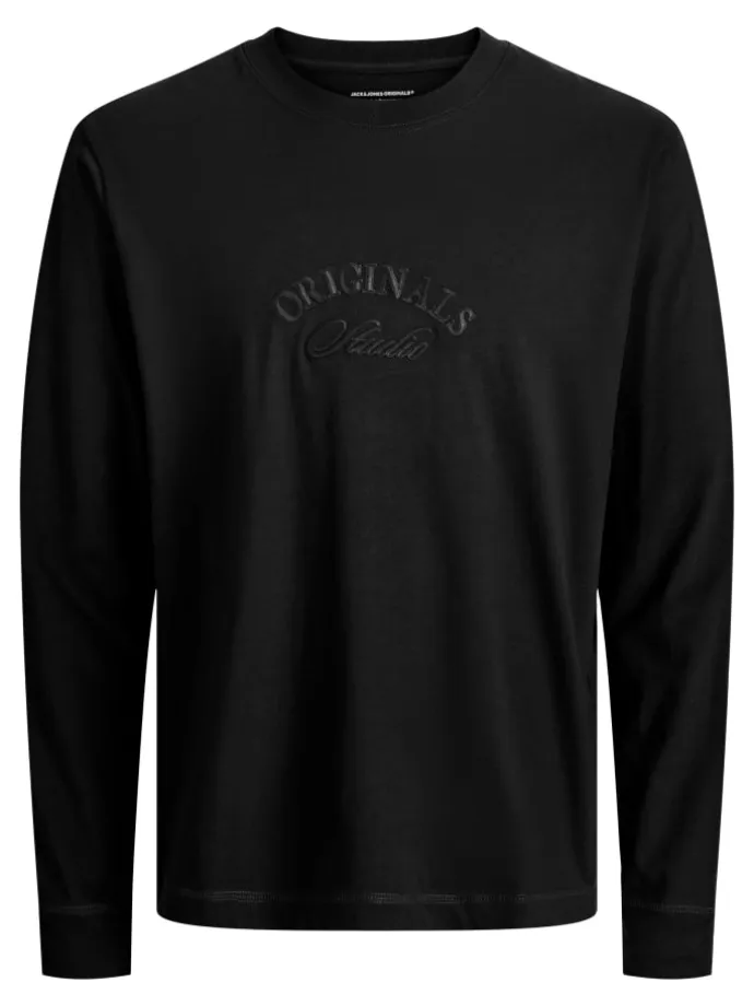 2er Pack Langarmshirts JORBLEECKER BRANDING TEE in black