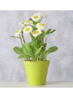 2er-Set: Übertöpfe "Giardino" in Grün - (H)9,5  Ø 11 cm