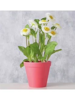 2er-Set: Übertöpfe "Giardino" in Pink - (H)9,5  Ø 11 cm