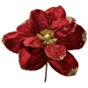 2er-Set: Dekopflanzen in Rot/ Gold - (H)25 cm