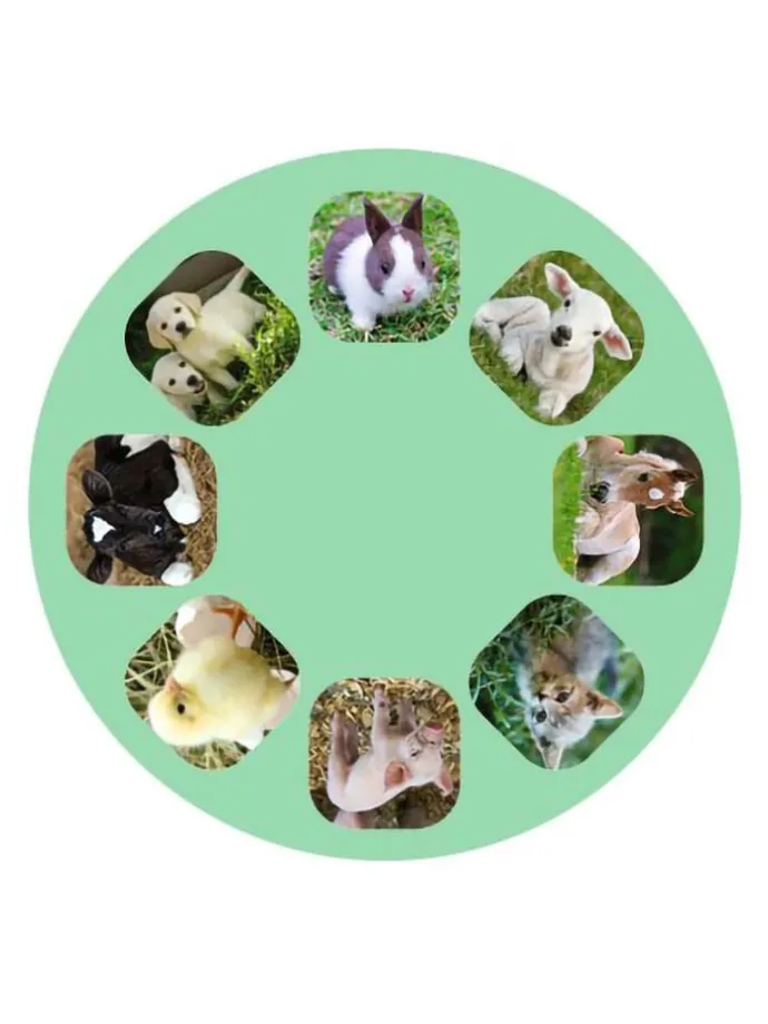 2er-Set: Projektor-Taschenlampe "Tierbabys" in Grün - ab 3 Jahren