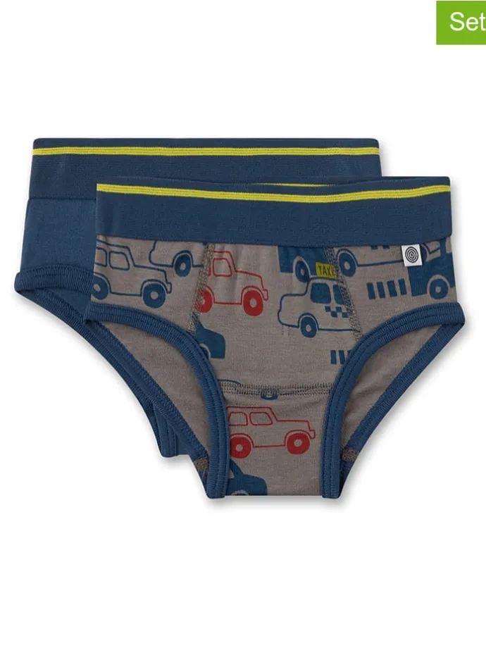 2er-Set: Slips in Blau/ Grau