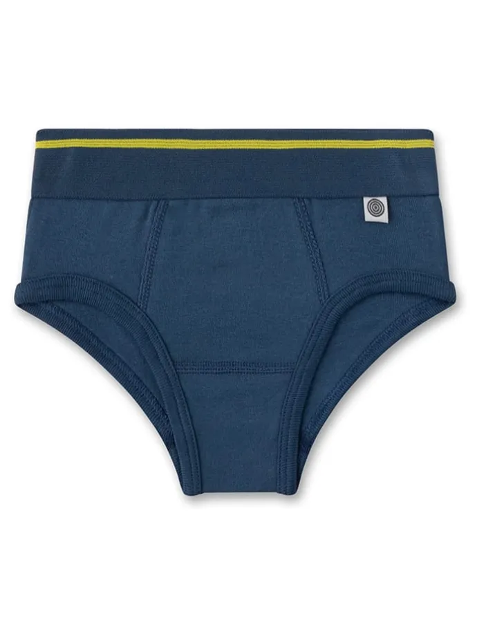 2er-Set: Slips in Blau/ Grau