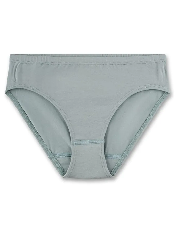 2er-Set: Slips in Grau/ Grün