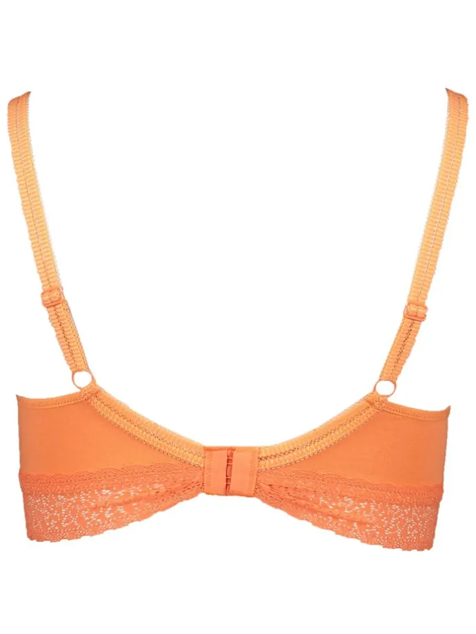 2er-Set: Still-BHs in Rot/ Orange