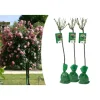 3er-Set: XXL Großblütige Stielrosen in Weiß/ Rot/ Rosa