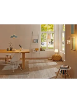 Filament 230V LED Birne G