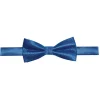 Fliege in Blau