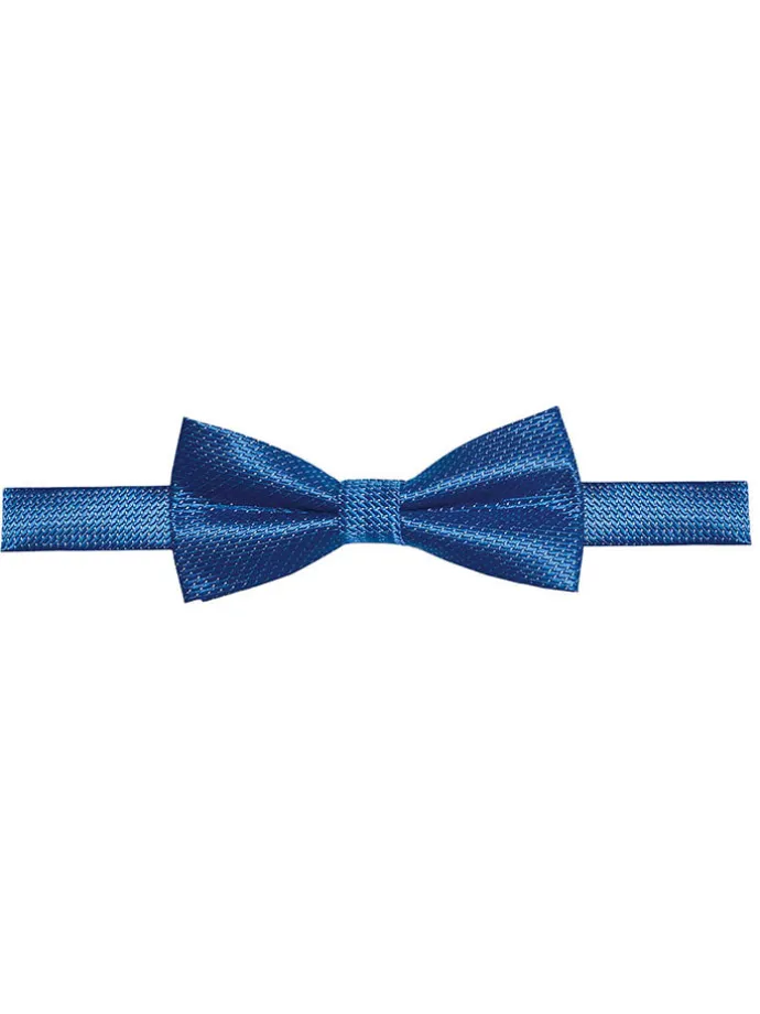 Fliege in Blau