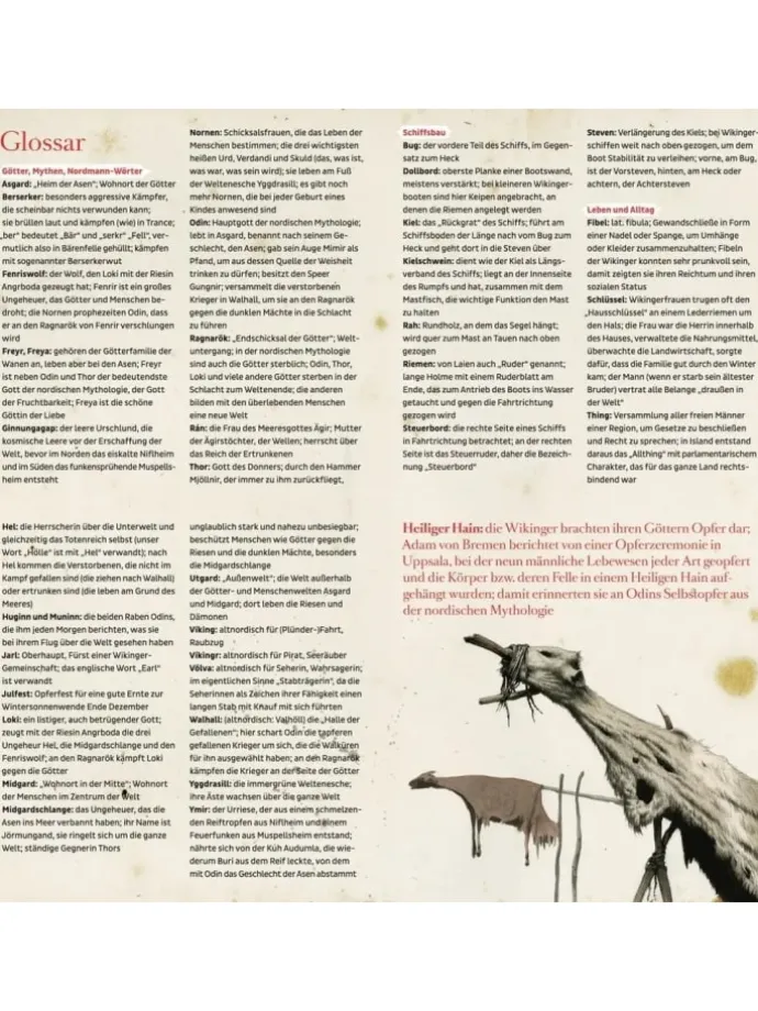 Fred bei den Wikingern | Jarl Ragnalds Vermächtnis