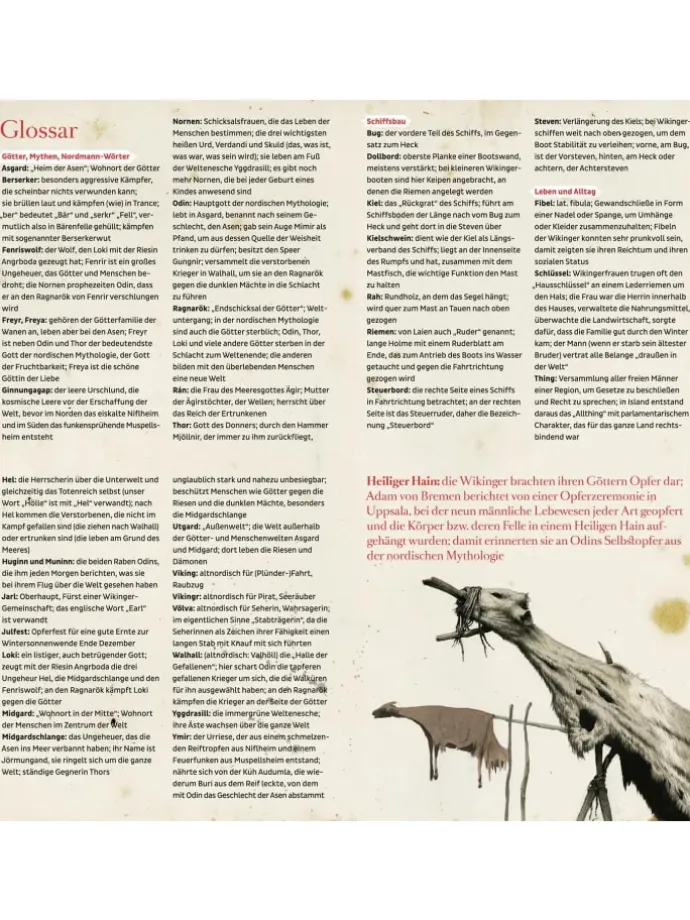 Fred bei den Wikingern | Jarl Ragnalds Vermächtnis