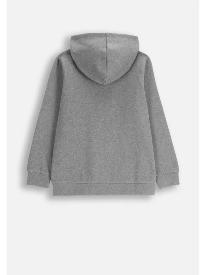 Gefütterte Kapuzenjacke mit Reißverschluss in grau