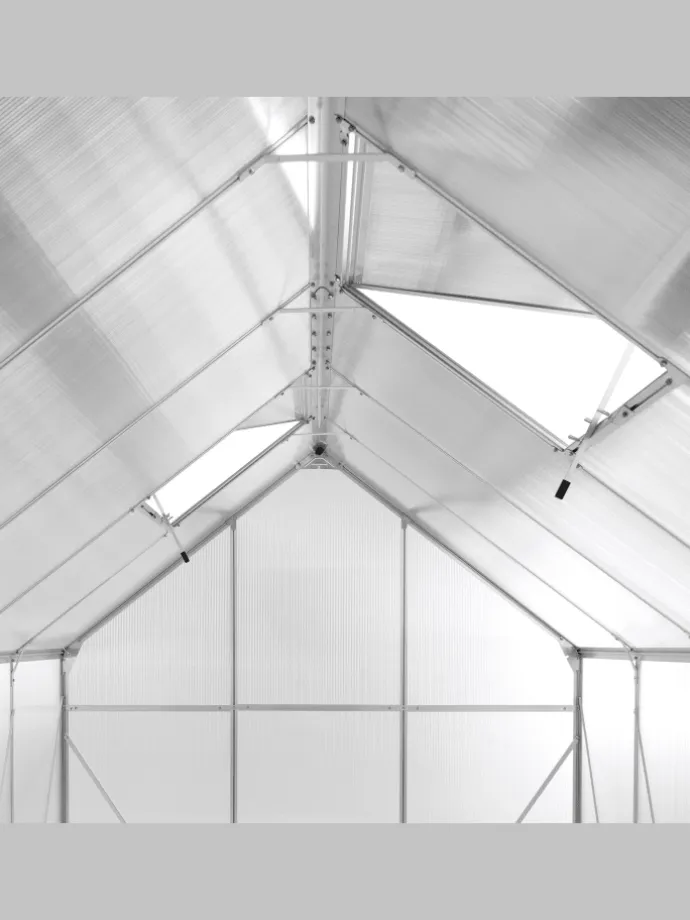 Gewächshaus für den Garten APULIA in Silber/Transparent