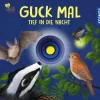 Guck mal tief in die Nacht