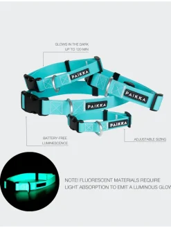 Halsband 
