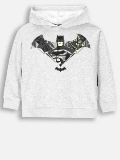 Hoodie in Grau