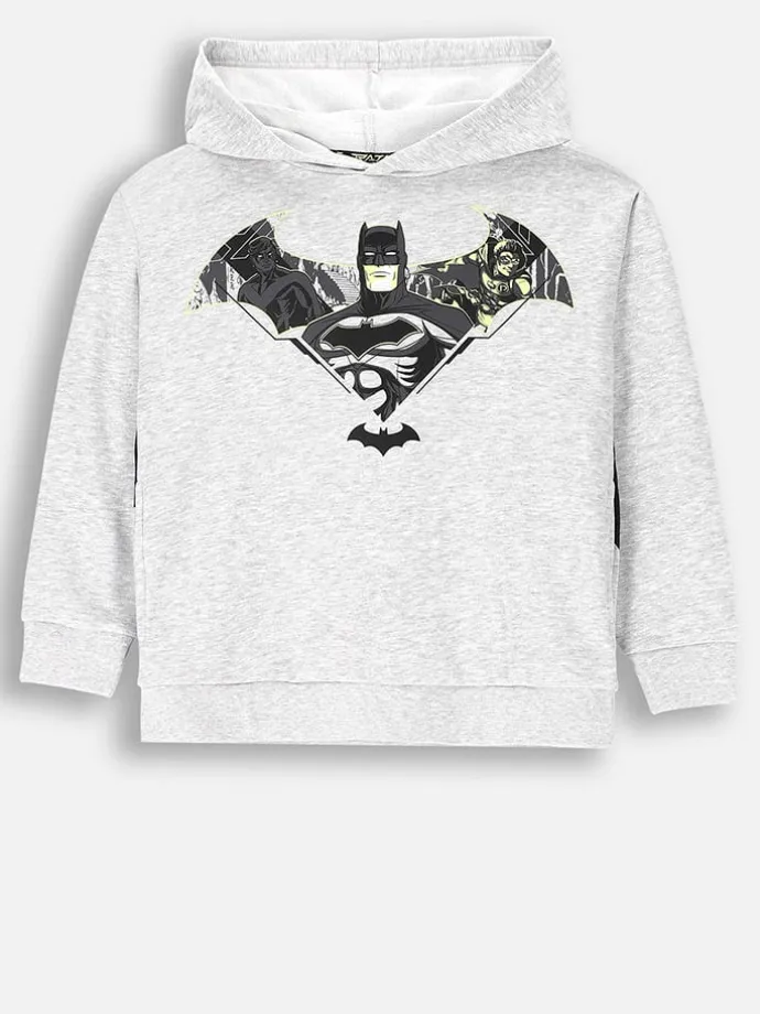 Hoodie in Grau