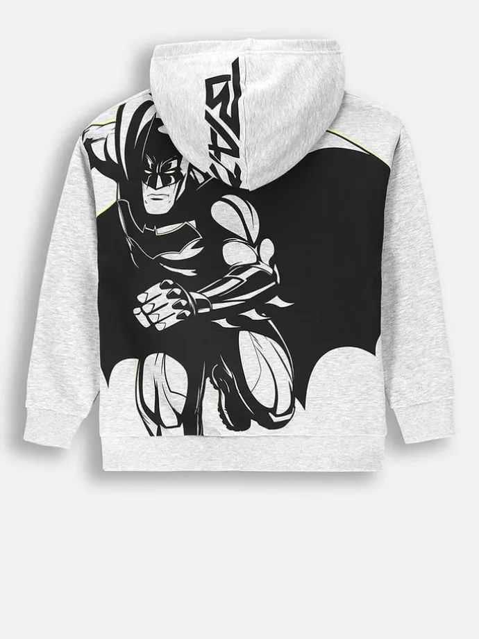 Hoodie in Grau
