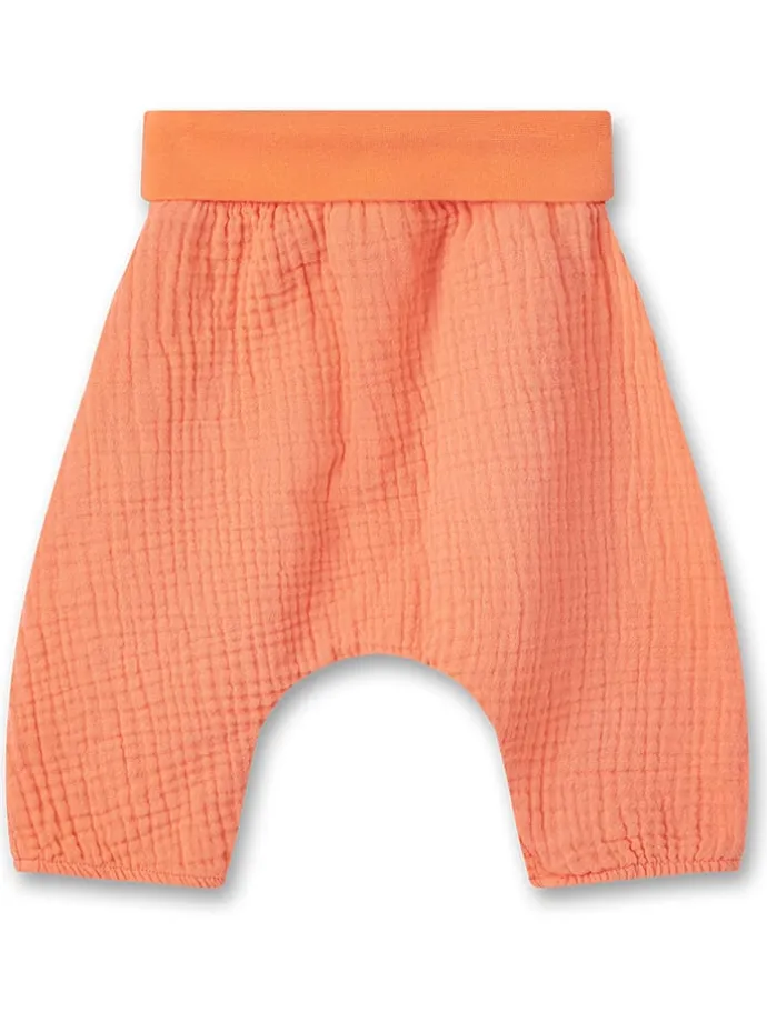 Hose in Orange