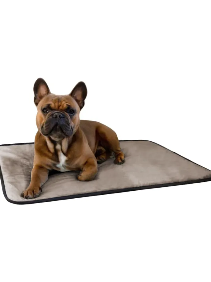 Hundedecke Lund in Beige