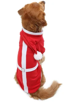 Hundehoodie in Rot