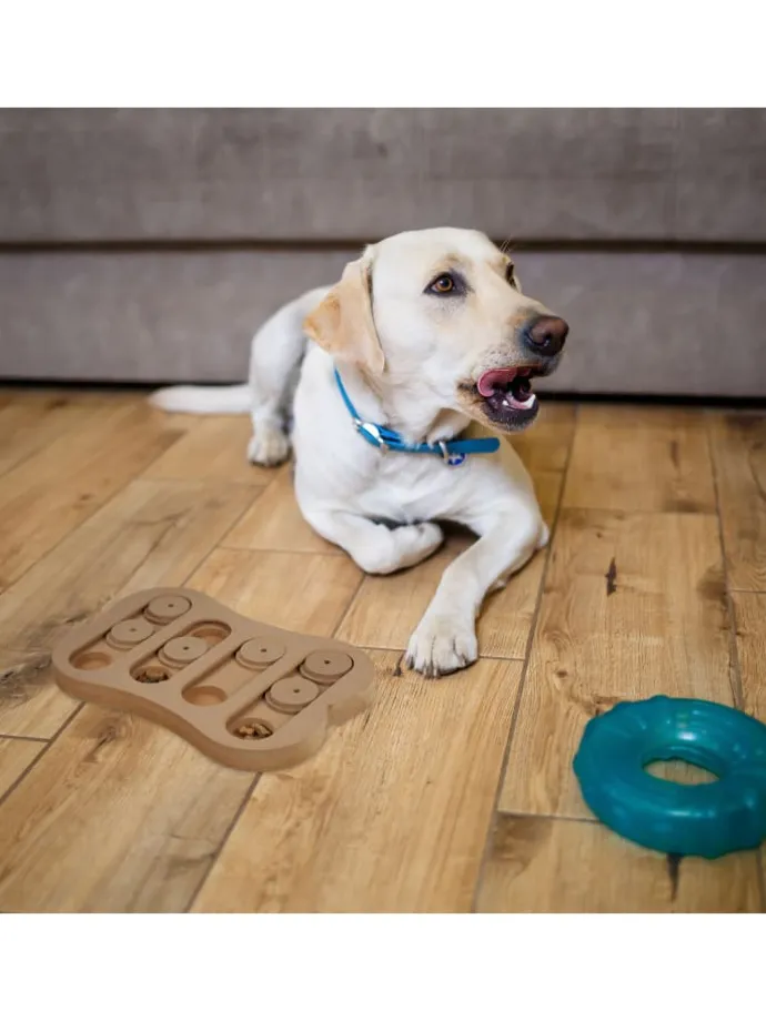 Hunde-Intelligenzspielzeug in Natur