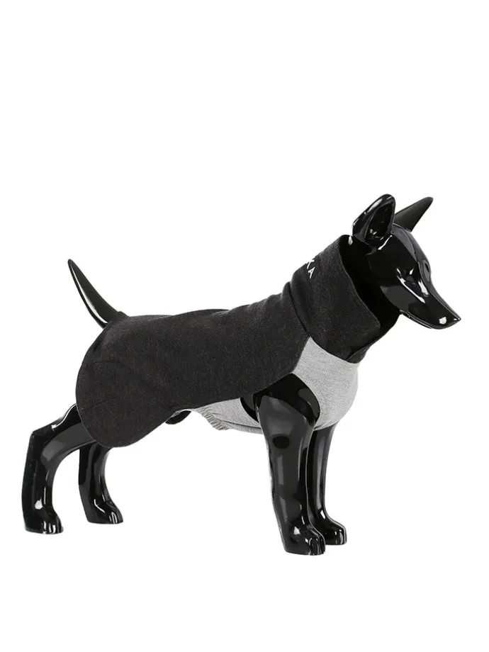 Hunde-Wintershirt in Anthrazit