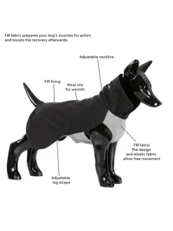 Hunde-Wintershirt in Anthrazit