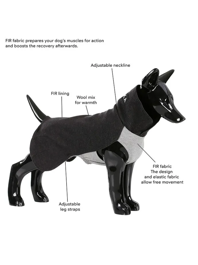Hunde-Wintershirt in Anthrazit
