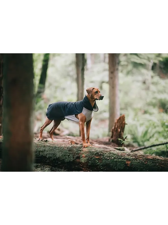Hunde-Wintershirt in Anthrazit