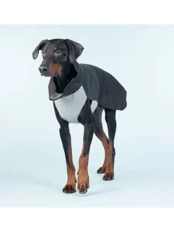 Hunde-Wintershirt in Anthrazit