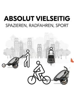 3in1 Fahrradanhänger Bike N Walk Duo für in grau